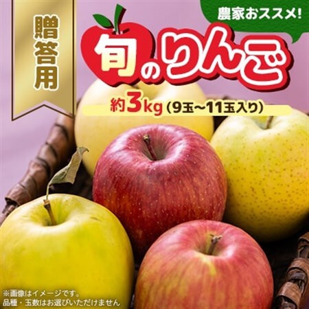 贈答用【令和8年8月～令和8年9月発送分】農家おススメ!旬のりんご約3kg_果物・フルーツ りんご  リンゴ 林檎_【配送不可地域：離島】【1222610】