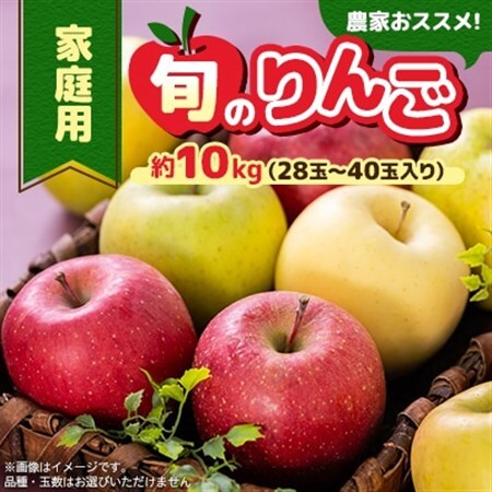 家庭用【令和8年8月～令和8年9月発送分】農家おススメ!旬のりんご約10kg_果物・フルーツ りんご  リンゴ 林檎_【配送不可地域：離島】【1222631】