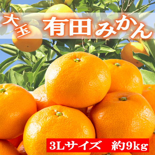 【食べごたえ十分】有田みかん大玉約9kg（3Lサイズ・秀品）　※2026年11月中旬～2027年1月中旬頃に発送予定（お届け日指定不可）【tec879B】