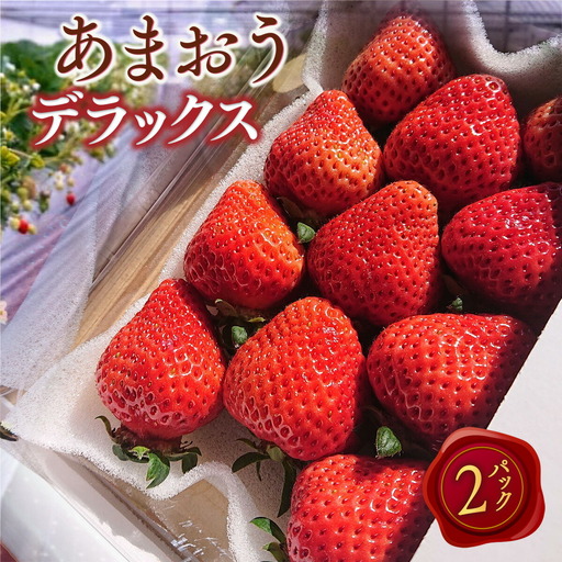 いちご あまおう デラックス 2p いちご 【2027年発送】