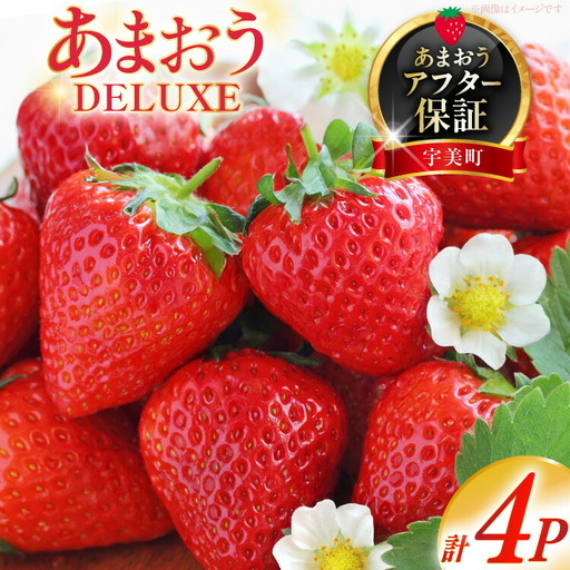 いちご あまおう デラックス 4p いちご [2027年発送]