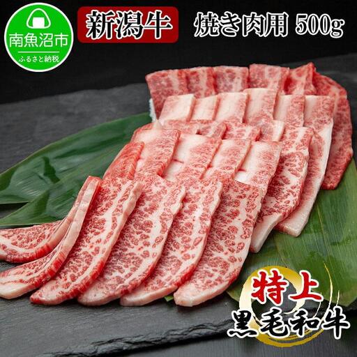 新潟牛 南魚沼産 にいがた 黒毛和牛 焼き肉用 500ｇ 新潟県 南魚沼市｜チルド