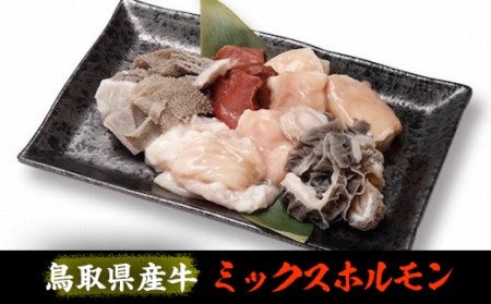 鳥取県産牛 ミックスホルモン600g(味噌だれ付)