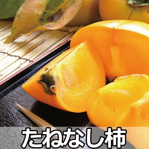 採れたてタネなし柿“Lサイズ"7.5kg[2026年10月中旬〜10月下旬頃発送予定][art001A]