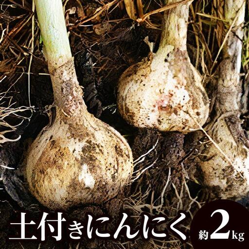 土付きにんにく 約2kg[2026年5月上旬〜2026年6月中旬配送]| にんにく