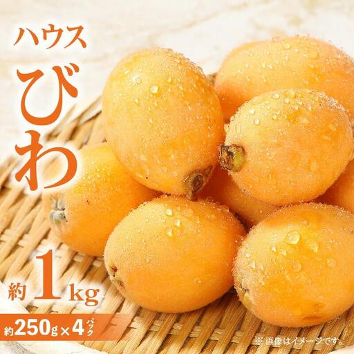 ハウスびわ 約1kg[2026-4月中旬〜2026-5月上旬配送]| びわ
