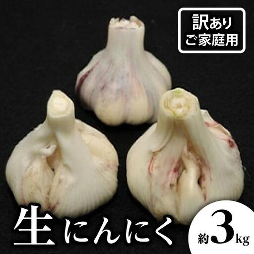 訳あり ご家庭用 生にんにく 約3kg【2027-5月上旬～2027-6月上旬配送】