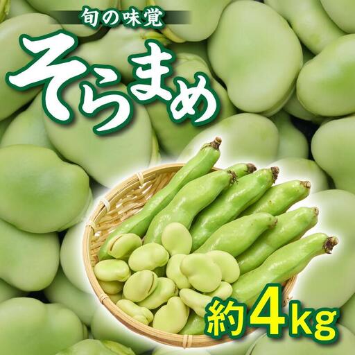 旬の味覚 そらまめ 約4kg【2027年4月下旬～2027年5月下旬配送】