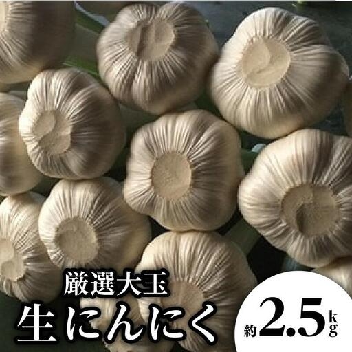厳選大玉 生にんにく 約2.5kg[2026-5月上旬〜2026-6月上旬配送] | にんにく