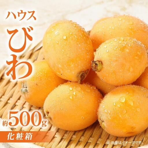 ハウスびわ化粧箱 約500g[2026-4月中旬〜2026-5月上旬配送]| びわ