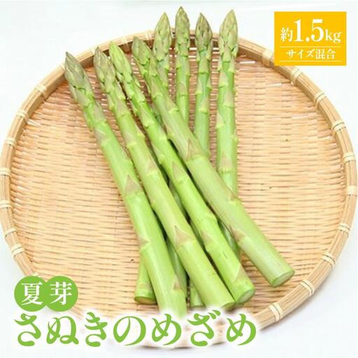 さぬきのめざめ 夏芽 ( サイズ 混合 ) 約1.5kg アスパラガス【2026-5月上旬～2026-11月上旬配送】