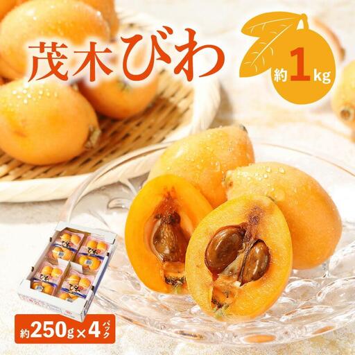 茂木びわ 約1kg (約250g×4パック)[2026-5月中旬〜2026-6月中旬配送]| びわ