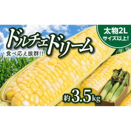 食べ応え抜群 太物2Lサイズ以上!ドルチェドリーム 約3.5kg[2027-6月上旬〜2027-7月上旬配送]