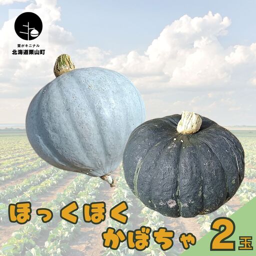 北海道栗山町産 ほっくほくかぼちゃ 2玉