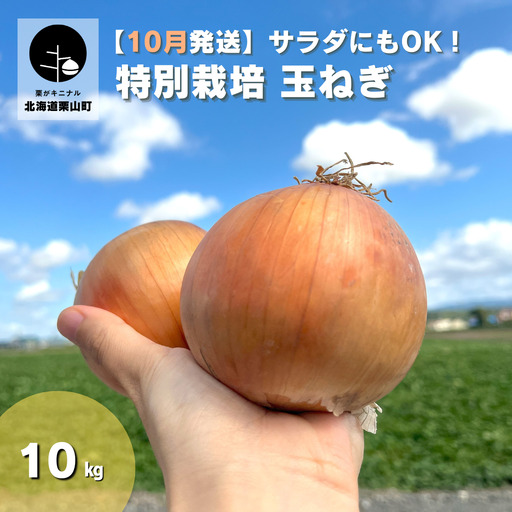 [10月発送]サラダにもOK!特別栽培玉ねぎ10kg