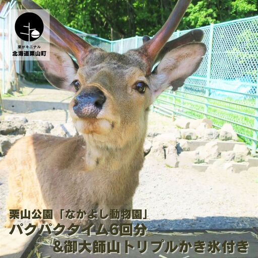 栗山公園「なかよし動物園」パクパクタイム回数券(6回分)&御大師山トリプルかき氷付き
