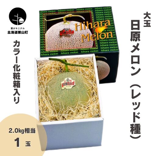 大玉「日原メロン(レッド種)」(2.0kg相当×1玉 北海道産)カラー化粧箱入り