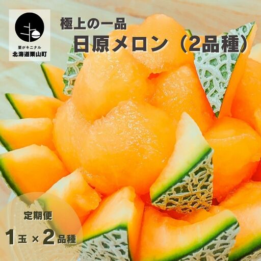 極上の一品「日原メロン」1玉×2品種食べ比べ定期便 北海道産赤肉メロン