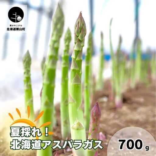 北海道産「夏採れ!北海道アスパラガス」700g