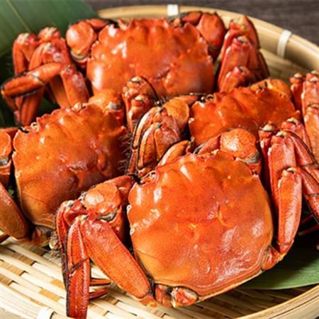 【天然】清流・高津川で獲れる天然モクズガニ[CAS冷凍]8匹【配送不可地域：離島】【1229839】