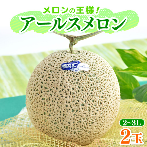 【先行予約】メロンの王様！アールスメロン 2玉入 2～3L 〈贈答用にも最適な最高級メロン〉／ 期間限定 果物 フルーツ 高級メロン マスクメロン 青肉 産地直送 ※2027年7月上旬より順次発送 [aw003-a011]