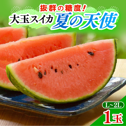 【先行予約】大玉スイカ「夏の天使」 1玉入 （L～2L）抜群の糖度で甘い！／ 期間限定 果物 フルーツ 西瓜 産地直送 ※2027年7月中旬より順次発送 [aw003-a002]
