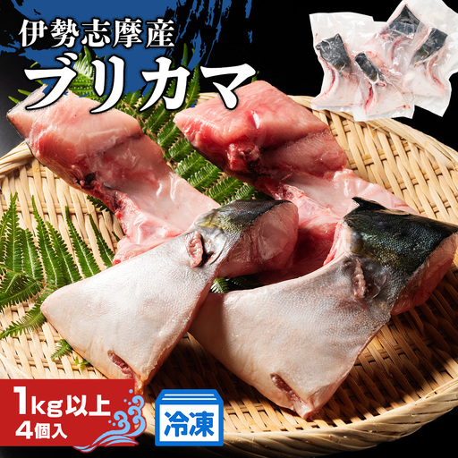 ブリカマ 1kg 伊勢志摩産 城水産