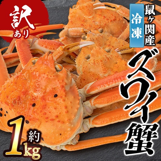 【令和8年10月以降発送】 ★訳あり★ 冷凍 鼠ヶ関産ボイルズワイガニ(約1kg)　鶴岡魚類株式会社　K-857