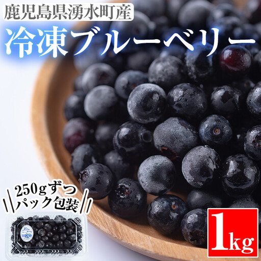 y228 《先行予約受付中！2026年9月以降順次発送》《数量限定》湧水の冷凍ブルーベリー(1kg) 冷凍 国産 九州産 鹿児島県産 くだもの 果物 フルーツ シャーベット ジャム フローズン ベリー おやつ デザート【神田茶園】