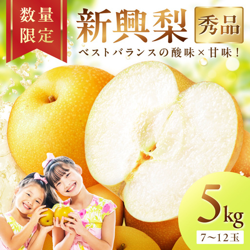 [2026年先行予約]京丹後産 和梨 新興 5kg(秀品)[9月下旬以降発送]