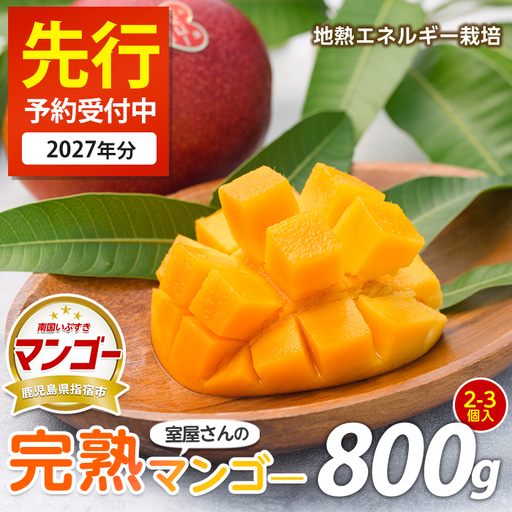 2027年発送 完熟 マンゴー 約800g 2〜3個入 果物 IB016-001