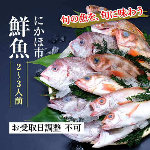 鮮魚 下処理済み 日本海の鮮魚 2～3人前(5～8種類) セット 魚 パック 詰め合わせ 海鮮セット 鮮魚ボックス 海鮮 海産物 海の幸 魚介 魚介類 刺身 切り身 ひらめ 鯛 甘エビ 鯵 あんこう 鮭 カレイ ハタハタ 鱈 ズワイガニ 冷蔵 発送メールのみ