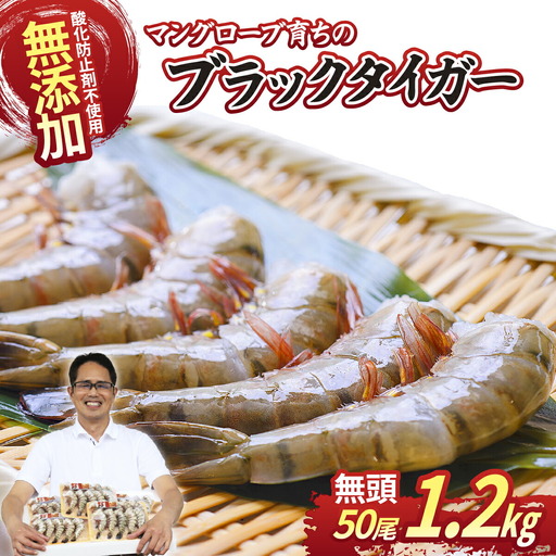 ブラックタイガー海老 魚兵水産こだわり 10尾5パック | エビ えび 茨城県ひたちなか市
