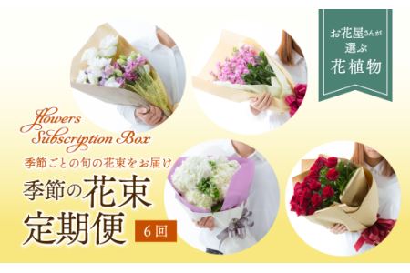 [全6回 定期便] 2ケ月に1回 季節の花束 定期便