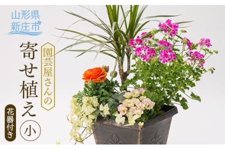 園芸屋さんの寄せ植え小  山形県 新庄市 F3S-0292