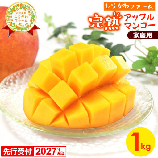 【先行受付】【2027年発送】しらかわファームの家庭用アップルマンゴー約1kg - 先行予約 沖縄県産 産地直送 南国フルーツ 旬の味覚 季節の果物 ご自宅用 家庭用 沖縄県 八重瀬町