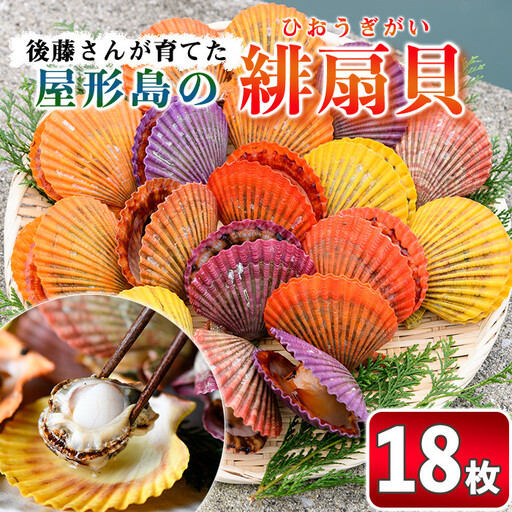 緋扇貝 (計18枚) 海鮮 ヒオウギ貝 BBQ バーベキュー 炭火焼 酒蒸し ご当地 国産 大分県 佐伯市産 屋形島で後藤さんが育てた緋扇貝 大分県 佐伯市[AX61][後藤緋扇養殖販売]