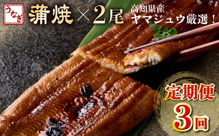 うなぎ蒲焼き 2尾 定期便 3回 うなぎ yj046