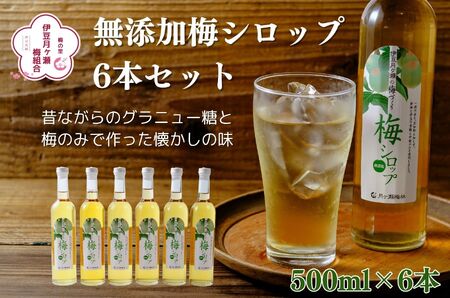 伊豆月ヶ瀬 梅シロップ6本セット 028-001