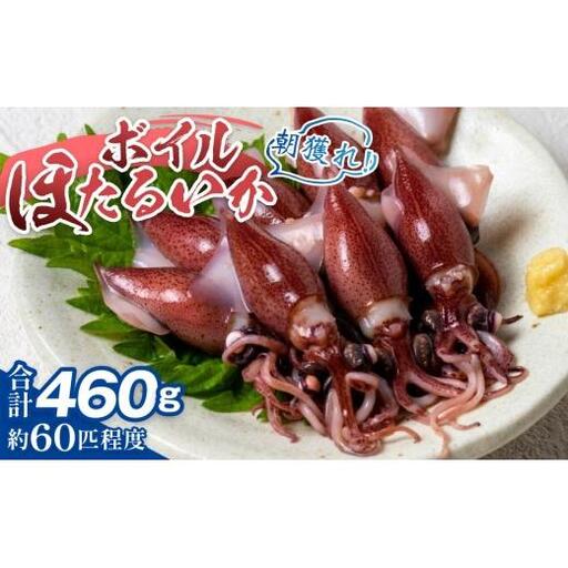 【先行予約】ボイル ほたるいか【27年3月中旬以降発送】 カネツル砂子商店 
