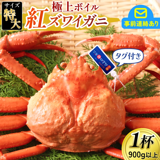 【先行予約】タグ付き 極上 ボイル紅ズワイガニ 川村水産 | 蟹 カニ ズワイ