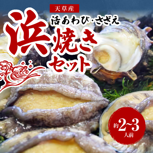 S002-017A_天草産 活あわび・さざえ 浜焼きセット 約2〜3人前