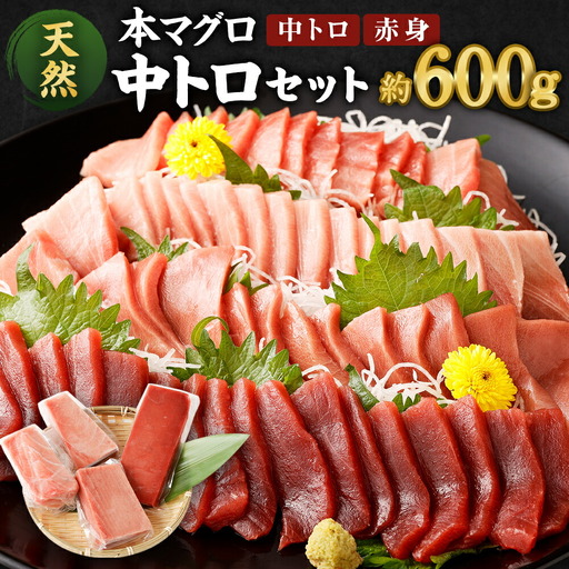天然マグロ 2種 約600g 【まぐろ】ge005