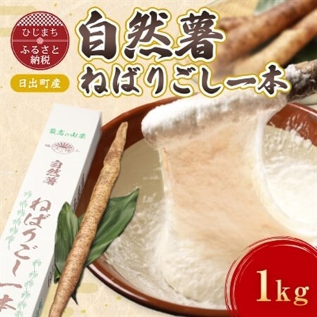 【数量限定】日出町産自然薯「ねばりごし一本」 (1kg)_野菜 自然薯 根菜 じねんじょ ジネンジョ_【1134765】