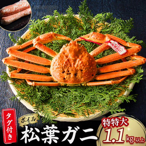 [先行予約][魚倉]タグ付きボイル松葉ガニ(特特大1.1kg以上)冷蔵 カニ ボイル 松葉ガニ タグ付き