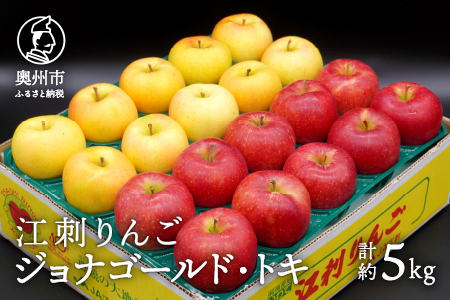 数量限定 江刺りんご ジョナゴールド・トキ 5kg(16〜20玉)[10月下旬以降お届け] 離島配送不可 [AQ026]