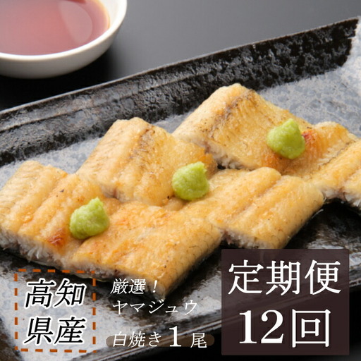 うなぎ白焼き 1尾 定期便 12回 うなぎ yj051