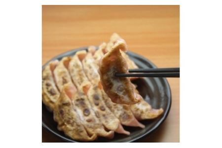 馬肉餃子 80個 餃子 ぎょうざ