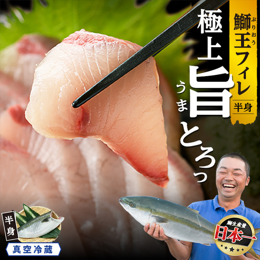 ＼先行予約／【10月以降順次発送】『旅サラダ』で紹介ぶりの王様「 鰤王 」 フィレ 半身 フィレ1枚 産地直送 新鮮 旨味が抜群の 長島町 特産品 ブランド ぶり 鰤 ブリ 切り身 真空 冷蔵 刺身 ぶりしゃぶ しゃぶしゃぶ 魚 魚介 人気 ランキング 【JFA】jfa-1629R8