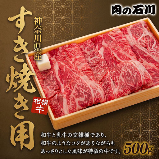 牛肉 すき焼き用 500g 相模牛 牛肉